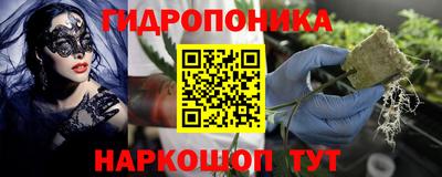 эйфоретик Краснознаменск