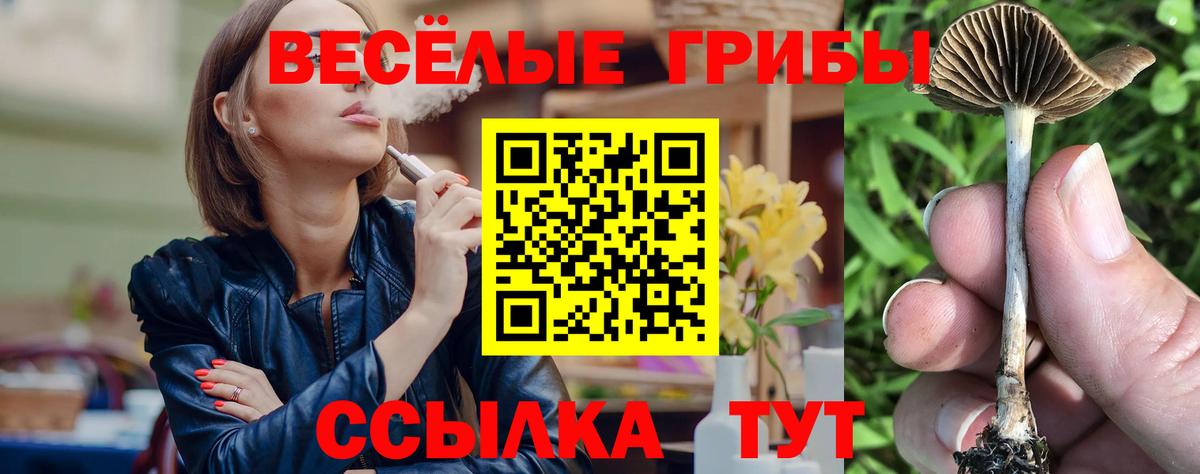 Галлюциногенные грибы прущие грибы Кемерово